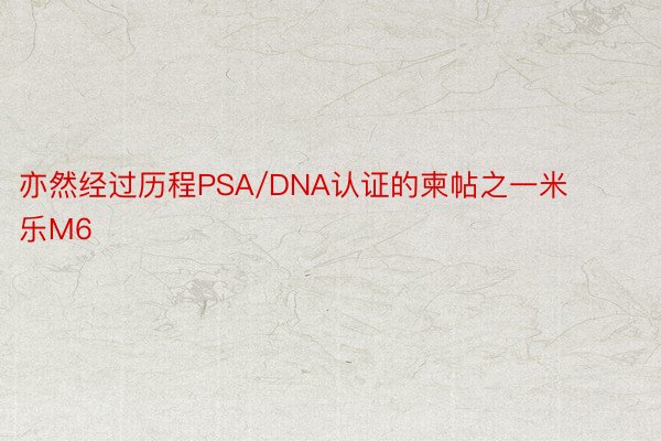 亦然经过历程PSA/DNA认证的柬帖之一米乐M6