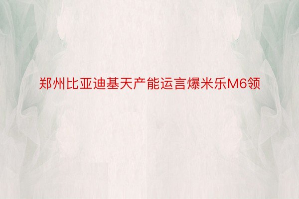 郑州比亚迪基天产能运言爆米乐M6领